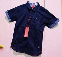 Adult Shirt