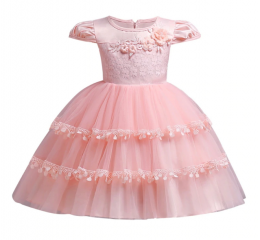 Kids baby short sleeve dress Children's birthday dress Applique lace princess dress girl Banquet beautifully dressed