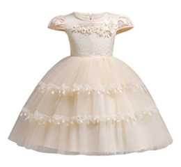 Kids baby short sleeve dress Children's birthday dress Applique lace princess dress girl Banquet beautifully dressed